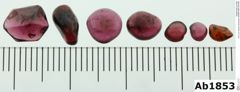 Foto von Granat (Almandin) (NHMW-MIN-Ab1853)